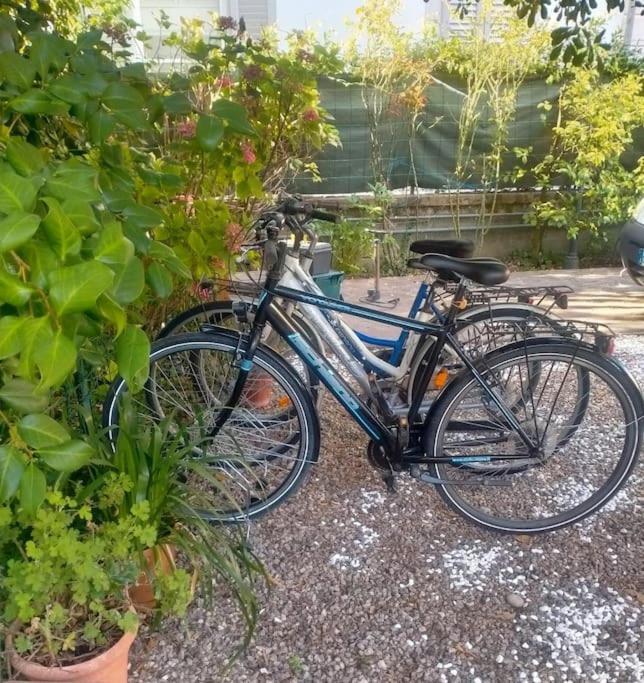 Just Outside The Wall: Free A/C, Bikes And Wifi Lucca Eksteriør bilde